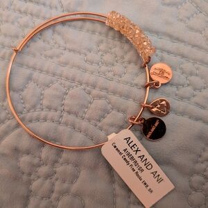 Alex and Ani Caramel Candy Fine Rocks Crystal Bangle - NWT